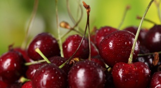 How to cook a compote of cherries
