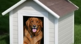Как построить домик для собаки