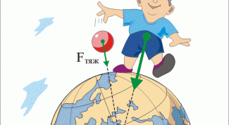 Как определить силу тяжести