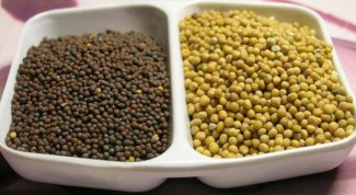 How to make mustard from the seeds