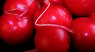 How to grow radish at home