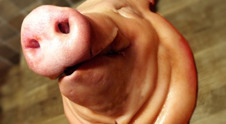 Как разделать свиную голову