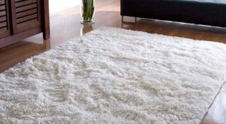 How to clean carpet urine
