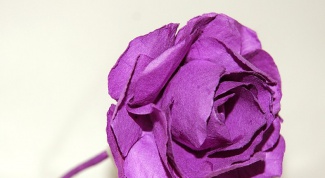 Как сложить розу из бумаги