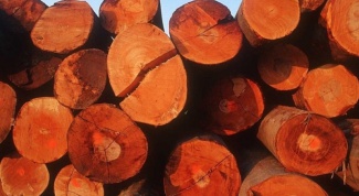 Как заготавливать древесину