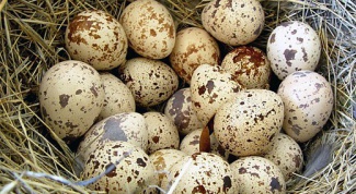 How to make quail egg shell