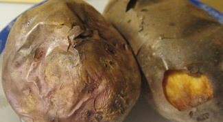 How to bake potatoes in the skin