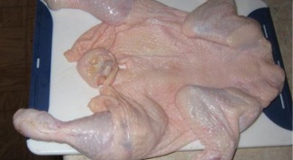 Как разморозить курицу