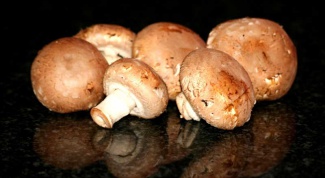 Как вырастить грибы-шампиньоны