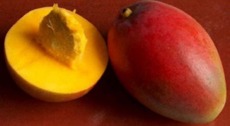 How to plant a mango seed,