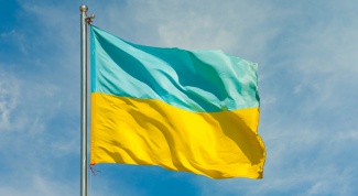 Как начать свой бизнес в украине