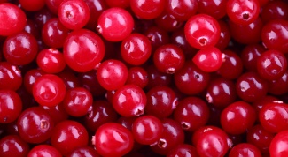 How to brew cranberry juice