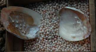 How to grow pearls