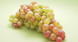 Как вырастить виноград из косточек
