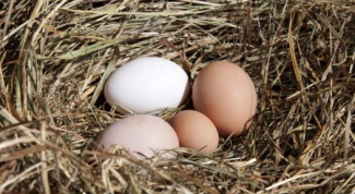 How to make nests for chickens