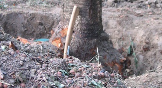 Как удалить старые деревья