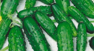 How to germinate cucumber seeds