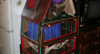 How to make a cage for a ferret