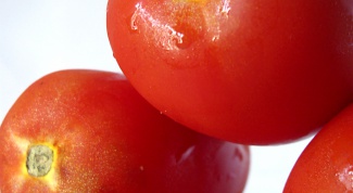 How to germinate tomato seeds