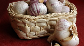 How to preserve garlic in the winter