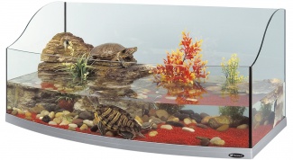 How to make a terrarium for turtles
