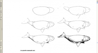 Как рисовать китов