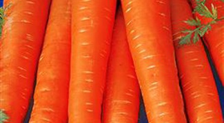 Как вырастить морковку
