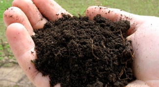 Как сохранить почву