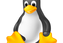 How to install Linux on a flash drive