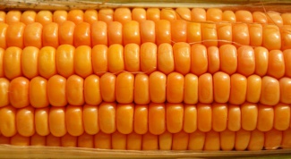 How to freeze corn