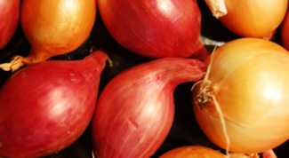 How to grow onion seeds