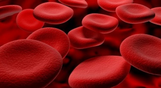 Как улучшить кровоснабжение