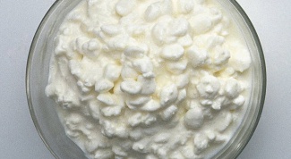 How to make curd from milk