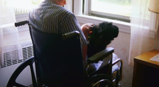 Как получить инвалиду путевку в санаторий