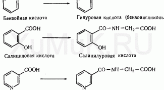 Как получить белок