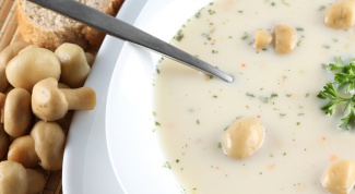 Как приготовить суп из плавленного сырка