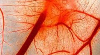 How to restore blood vessels