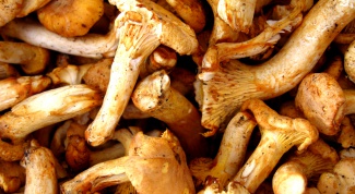 How to fry frozen mushrooms