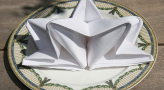 How to fold beautiful paper napkins in the napkin holder