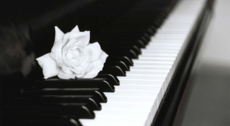 Как выучить ноты на пианино