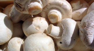 How to store fresh mushrooms