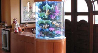 Как смягчить воду в аквариуме