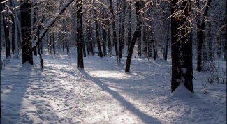Как сочинить стих о зиме