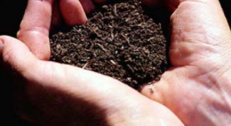 Как подготовить почву к посеву
