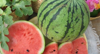 How to grow watermelon