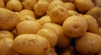 How to grow a large crop of potatoes