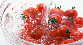 Как вырастить огурцы и помидоры