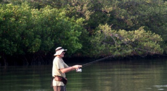 How to catch walleye on spinning