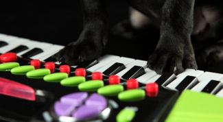 Как играть на клавишных