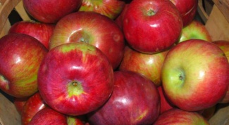 Как выбрать яблоки